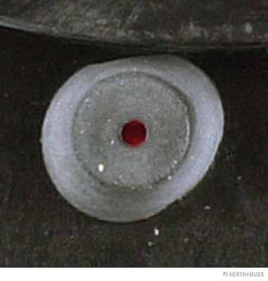 Herth+Buss Elparts Achterlicht 83840869