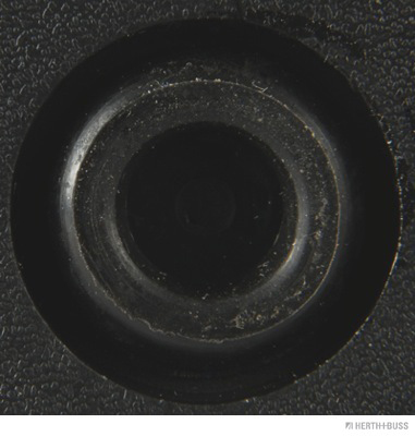 Herth+Buss Elparts Kentekenverlichting 84750018