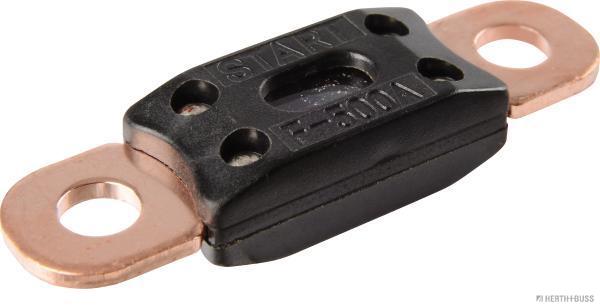 Zekering Herth+Buss Elparts 95980803003