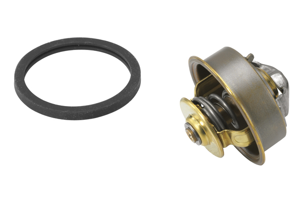 Wahler Thermostaat 4089.71D