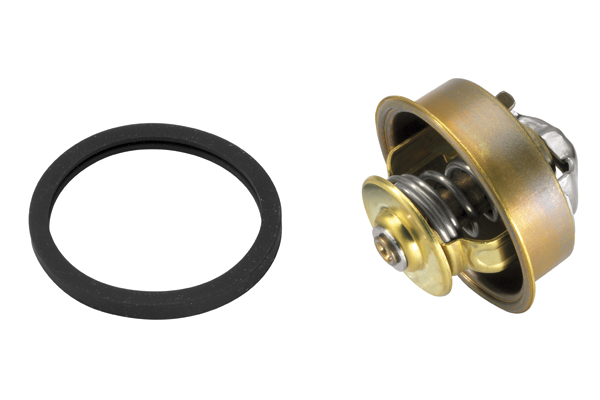 Wahler Thermostaat 4089.82D