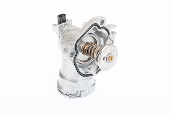 Thermostaat Wahler 410403.92D