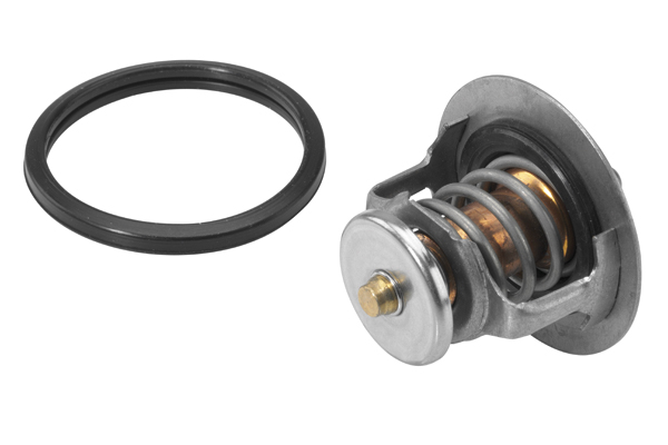 Thermostaat Wahler 411545.82D