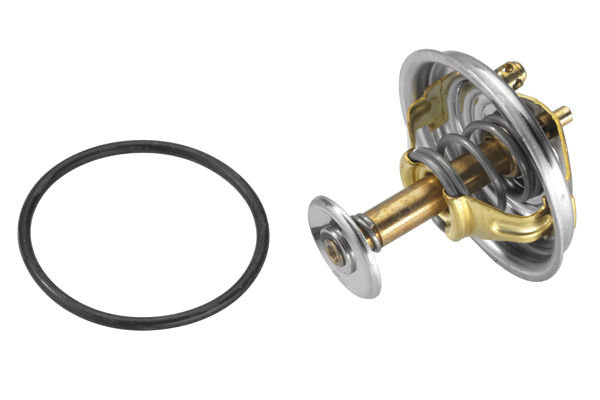 Wahler Thermostaat 4137.71D