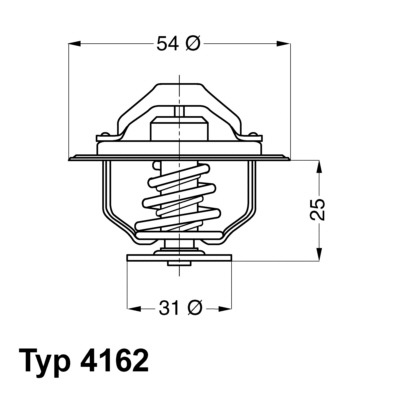 Wahler Thermostaat 4162.79D