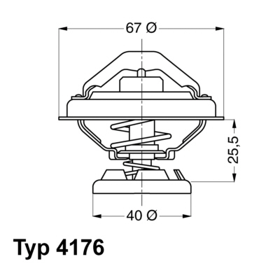 Wahler Thermostaat 4176.85D