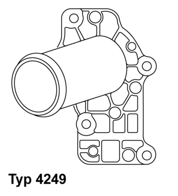 Wahler Thermostaat 4249.71D