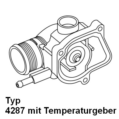 Thermostaat Wahler 4287.92D