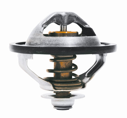 Wahler Thermostaat 410289.81D