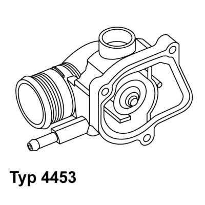 Thermostaat Wahler 4453.87D