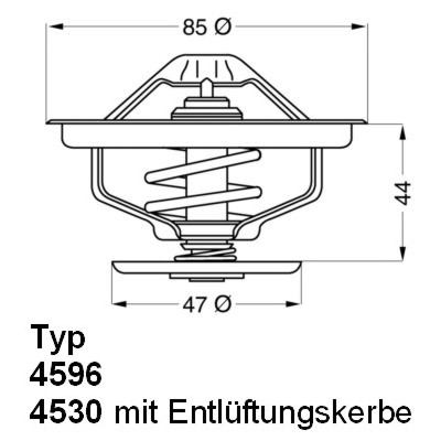 Thermostaat Wahler 410758.83D