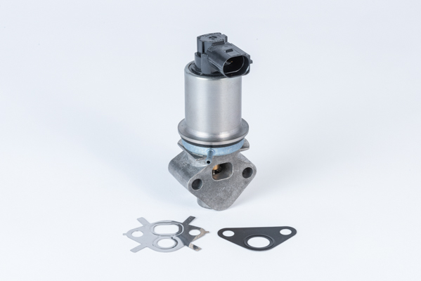 EGR-klep Wahler 710780D0