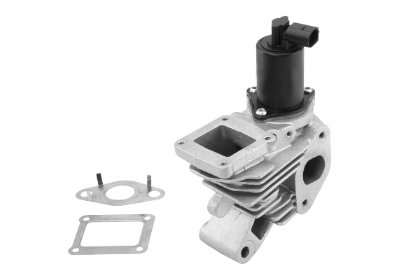 EGR-klep Wahler 710959R