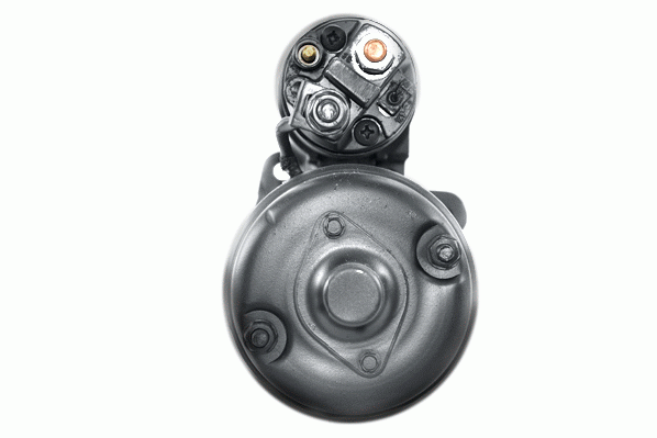 Friesen Starter 8055341