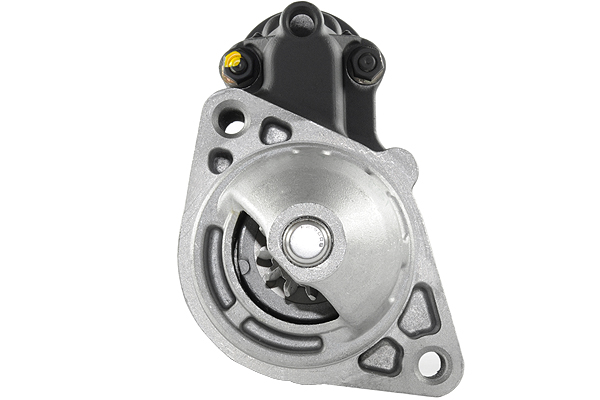 Friesen Starter 8080384