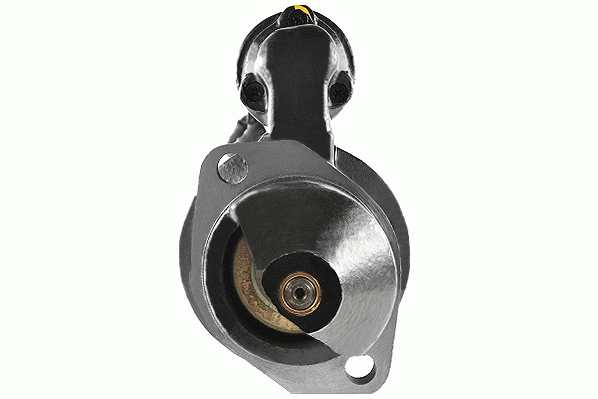 Friesen Starter 8817310