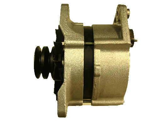 Friesen Alternator/Dynamo 9030560