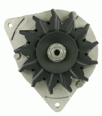 Friesen Alternator/Dynamo 9036020