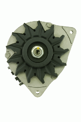 Friesen Alternator/Dynamo 9036071