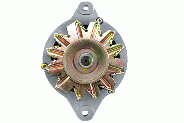 Friesen Alternator/Dynamo 9051311