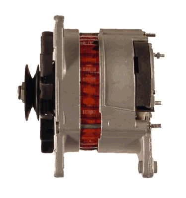 Friesen Alternator/Dynamo 9066127