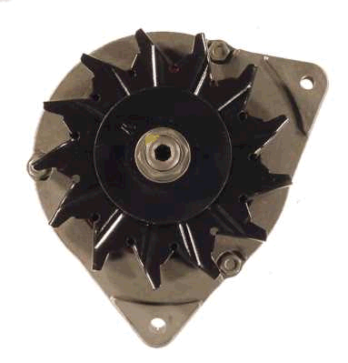 Friesen Alternator/Dynamo 9066202