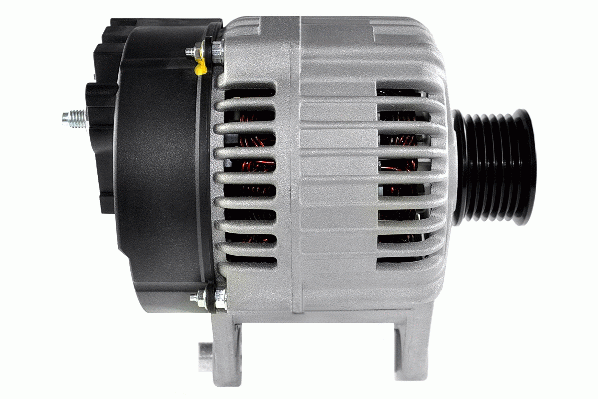 Friesen Alternator/Dynamo 9066284