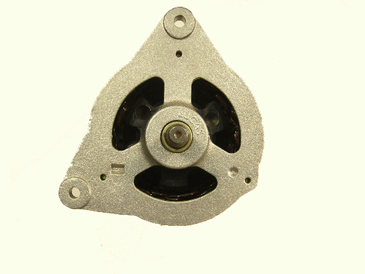 Friesen Alternator/Dynamo 9066356