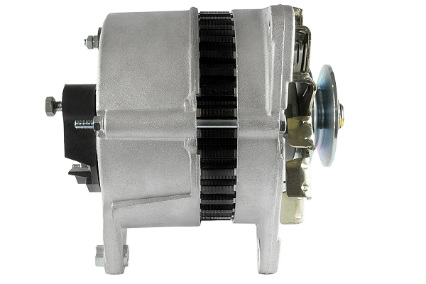 Friesen Alternator/Dynamo 9066381