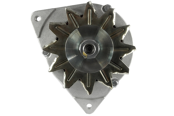 Friesen Alternator/Dynamo 9066381