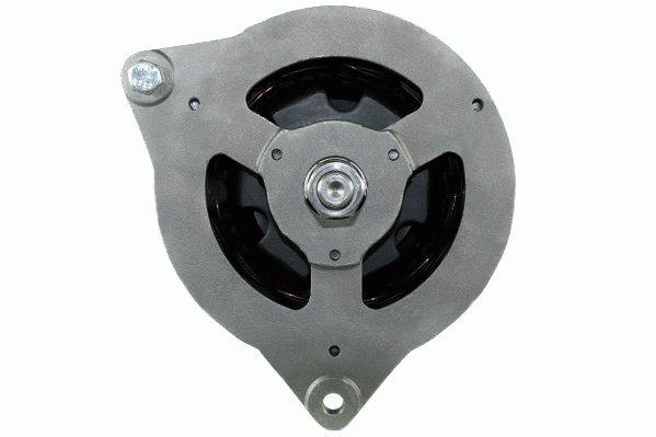 Friesen Alternator/Dynamo 9066406