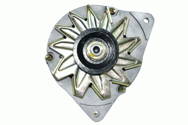Friesen Alternator/Dynamo 9066407
