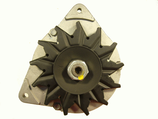 Friesen Alternator/Dynamo 9066461