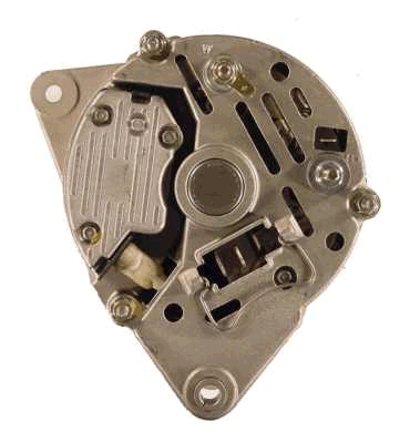 Friesen Alternator/Dynamo 9066463