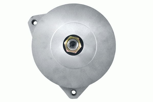 Friesen Alternator/Dynamo 9933520