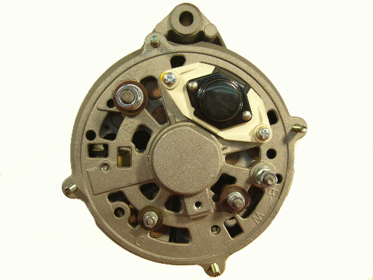 Friesen Alternator/Dynamo 9933530