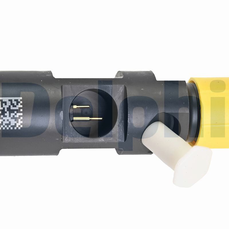 Delphi Diesel Injector 28231014-12B1