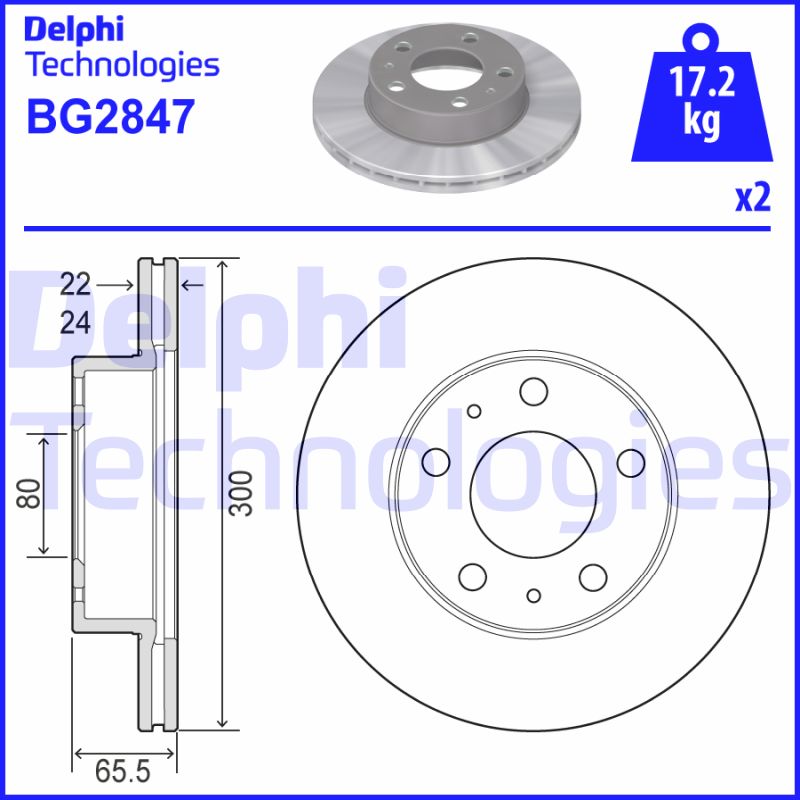 Remschijven Delphi Diesel BG2847