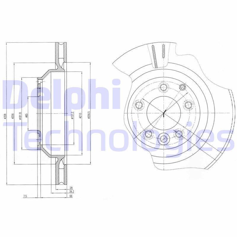 Remschijven Delphi Diesel BG4070