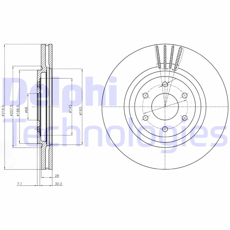 Remschijven Delphi Diesel BG4176C