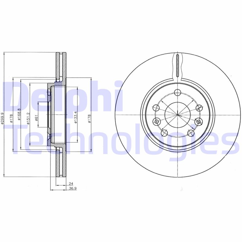 Remschijven Delphi Diesel BG4338