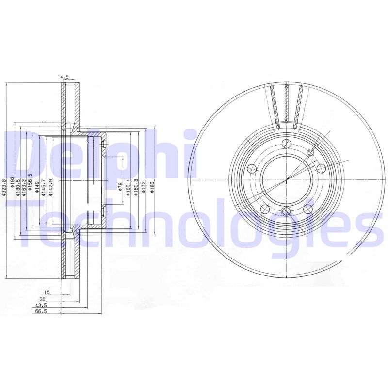 Remschijven Delphi Diesel BG9005