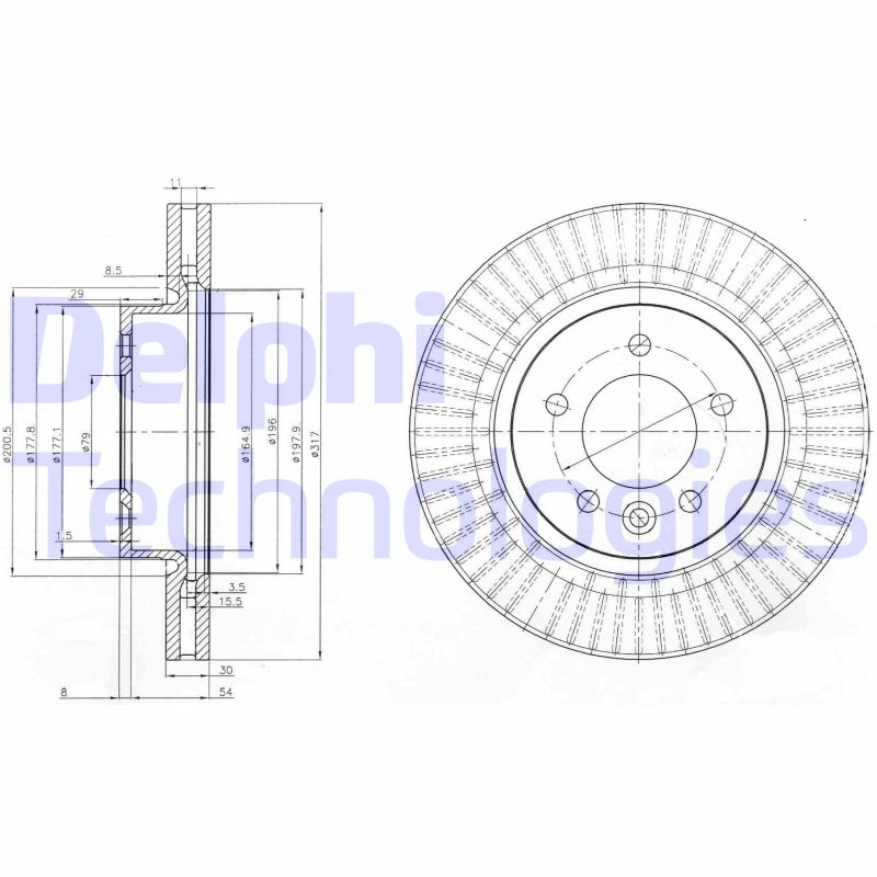 Remschijven Delphi Diesel BG9006C