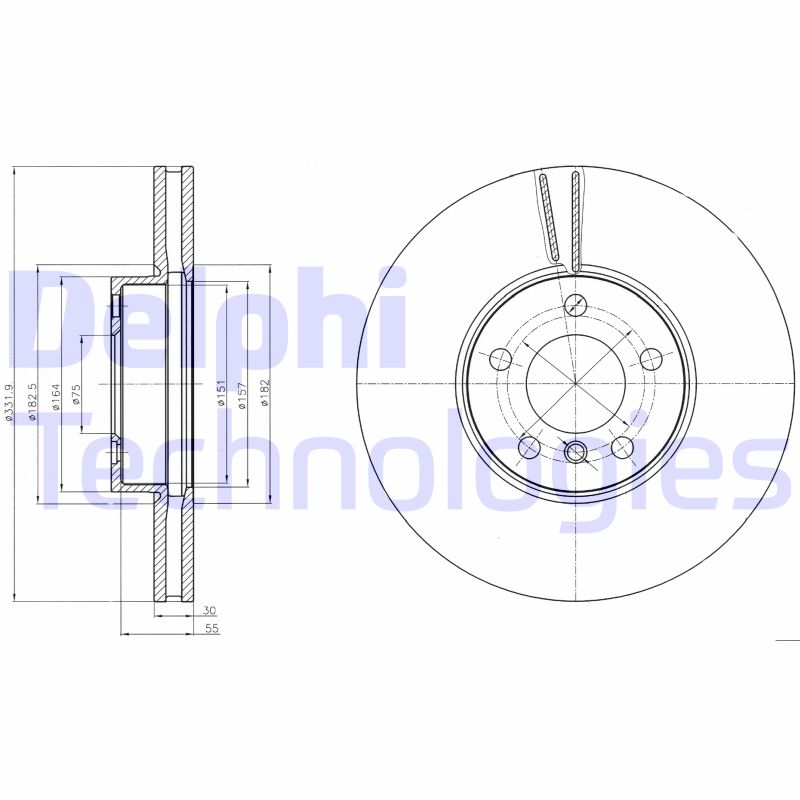 Remschijven Delphi Diesel BG9061