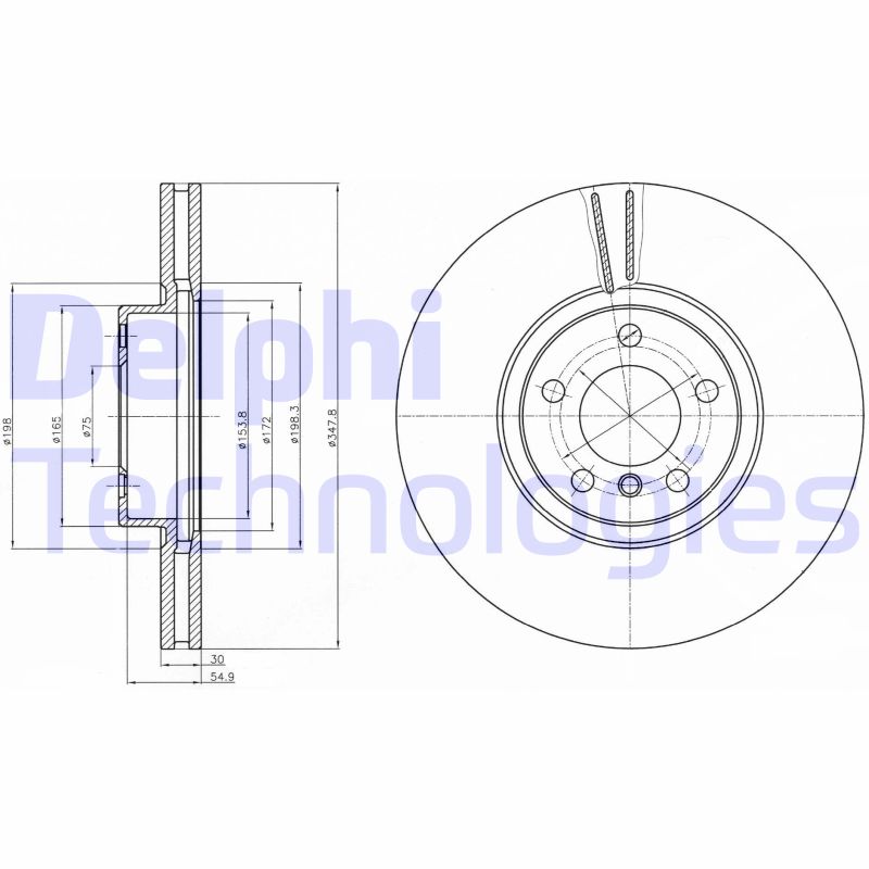Remschijven Delphi Diesel BG9063