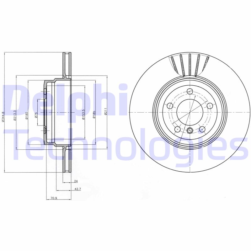 Remschijven Delphi Diesel BG9064