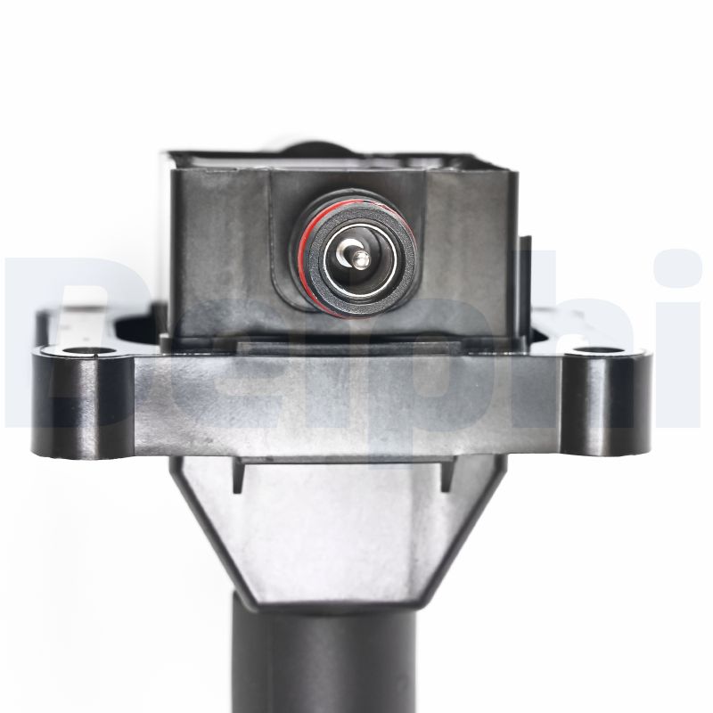 Delphi Diesel Bobine CE20038-12B1
