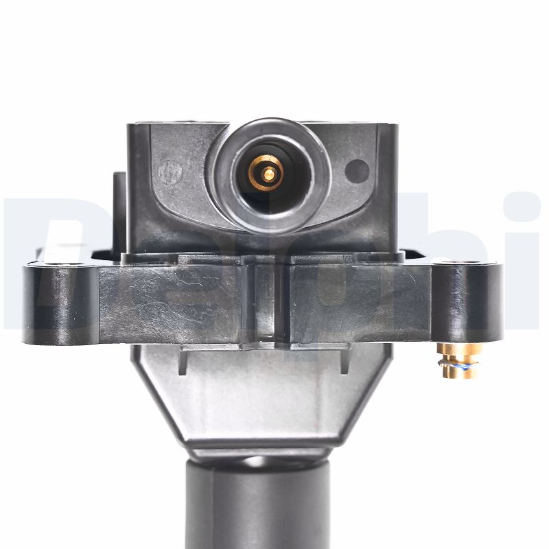 Delphi Diesel Bobine CE20038-12B1