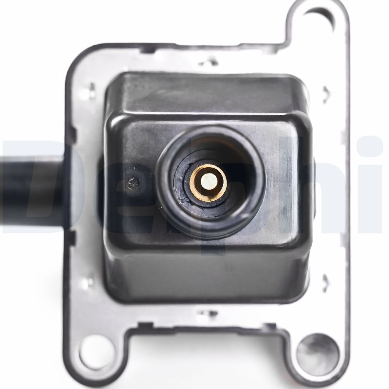 Delphi Diesel Bobine CE20040-12B1