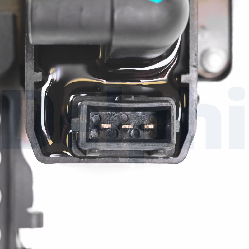 Delphi Diesel Bobine CE20061-12B1